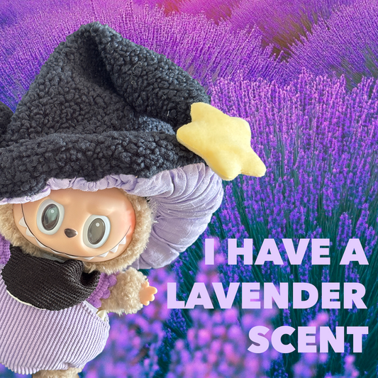 Wittle Wizard / Excluding the doll